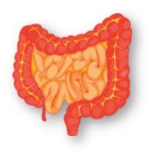 GI toxicity